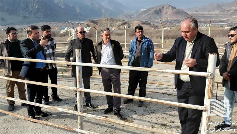 بازدید مدیر عامل شرکت از محوطه قرنطنیه و تخلیه و بارگیری دام زنده