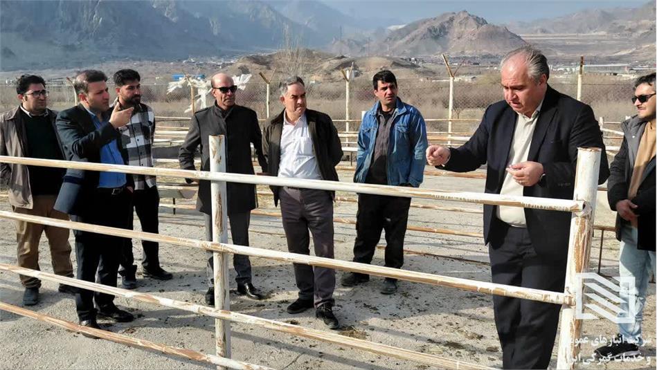 بازدید مدیر عامل شرکت از محوطه قرنطنیه و تخلیه و بارگیری دام زنده