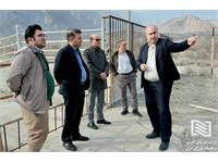 بازدید مدیر عامل شرکت از محوطه قرنطنیه و تخلیه و بارگیری دام زنده 1