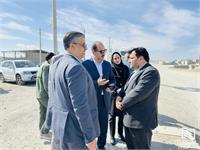 مدیرعامل شرکت انبارهای عمومی و خدمات گمرکی ایران در بازدید از مرز ماهیرود؛تاکید بر هم افزایی مشترک شرکت انبارهای عمومی و گمرک